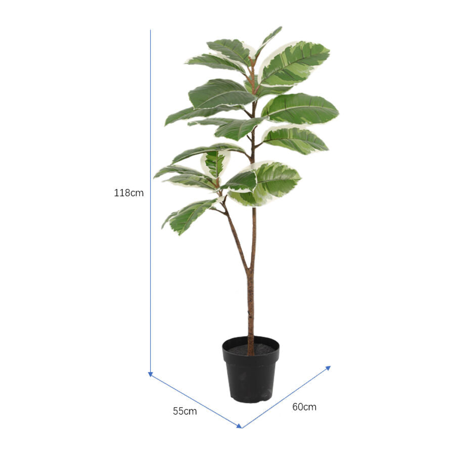 Willow &amp; Silk 118cm Potted Artificial Variegated Rubber Leaf Tree