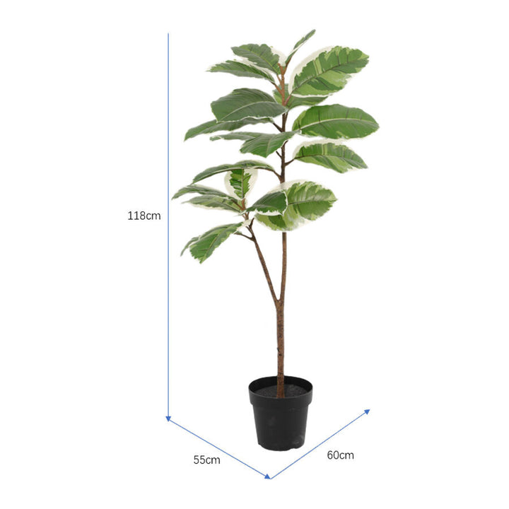 Willow &amp; Silk 118cm Potted Artificial Variegated Rubber Leaf Tree