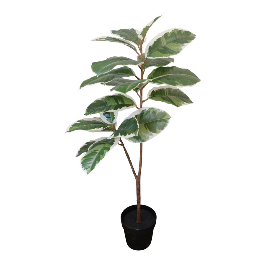 Willow &amp; Silk 118cm Potted Artificial Variegated Rubber Leaf Tree