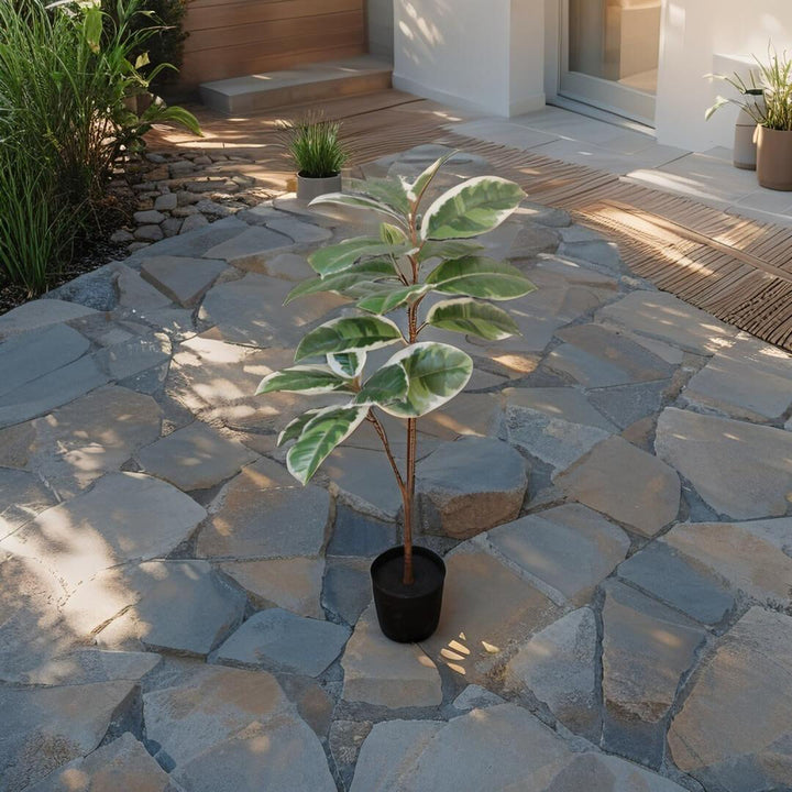 Willow &amp; Silk 118cm Potted Artificial Variegated Rubber Leaf Tree