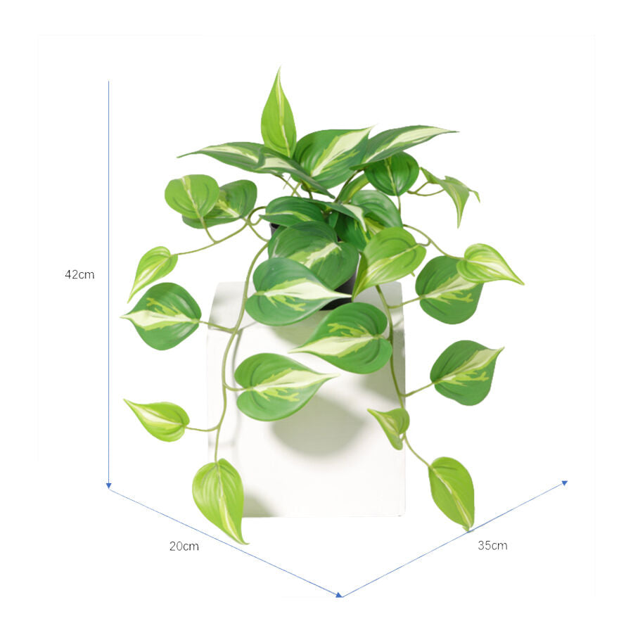 Willow &amp; Silk 42cm Potted Artificial Hanging Variegated Pothos