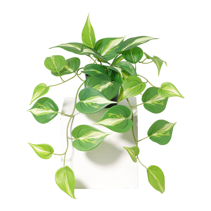 Willow &amp; Silk 42cm Potted Artificial Hanging Variegated Pothos