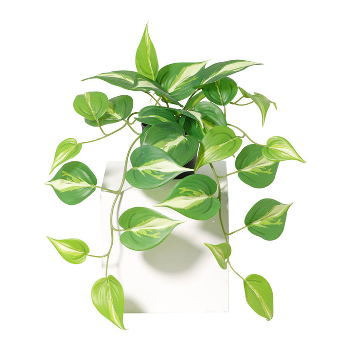 Willow &amp; Silk 42cm Potted Artificial Hanging Variegated Pothos