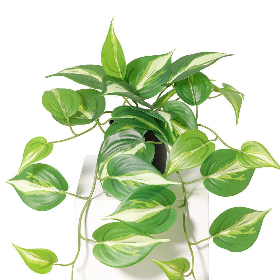 Willow &amp; Silk 42cm Potted Artificial Hanging Variegated Pothos