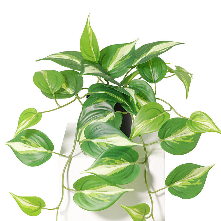 Willow &amp; Silk 42cm Potted Artificial Hanging Variegated Pothos