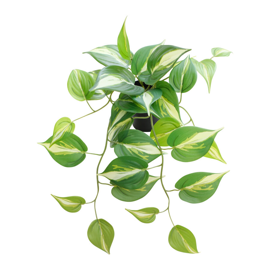 Willow &amp; Silk 42cm Potted Artificial Hanging Variegated Pothos