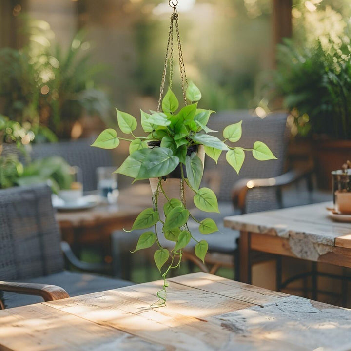 Willow &amp; Silk 35cm Potted Artificial Tranquil Hanging Pothos