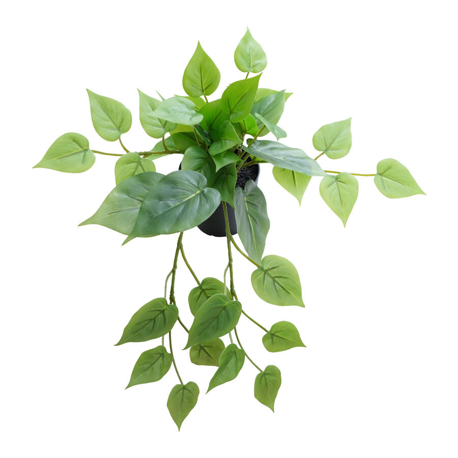 Willow &amp; Silk 35cm Potted Artificial Tranquil Hanging Pothos
