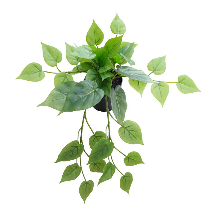Willow &amp; Silk 35cm Potted Artificial Tranquil Hanging Pothos