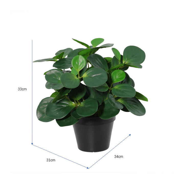 Willow &amp; Silk 33cm Potted Artificial Serenity Peperomia