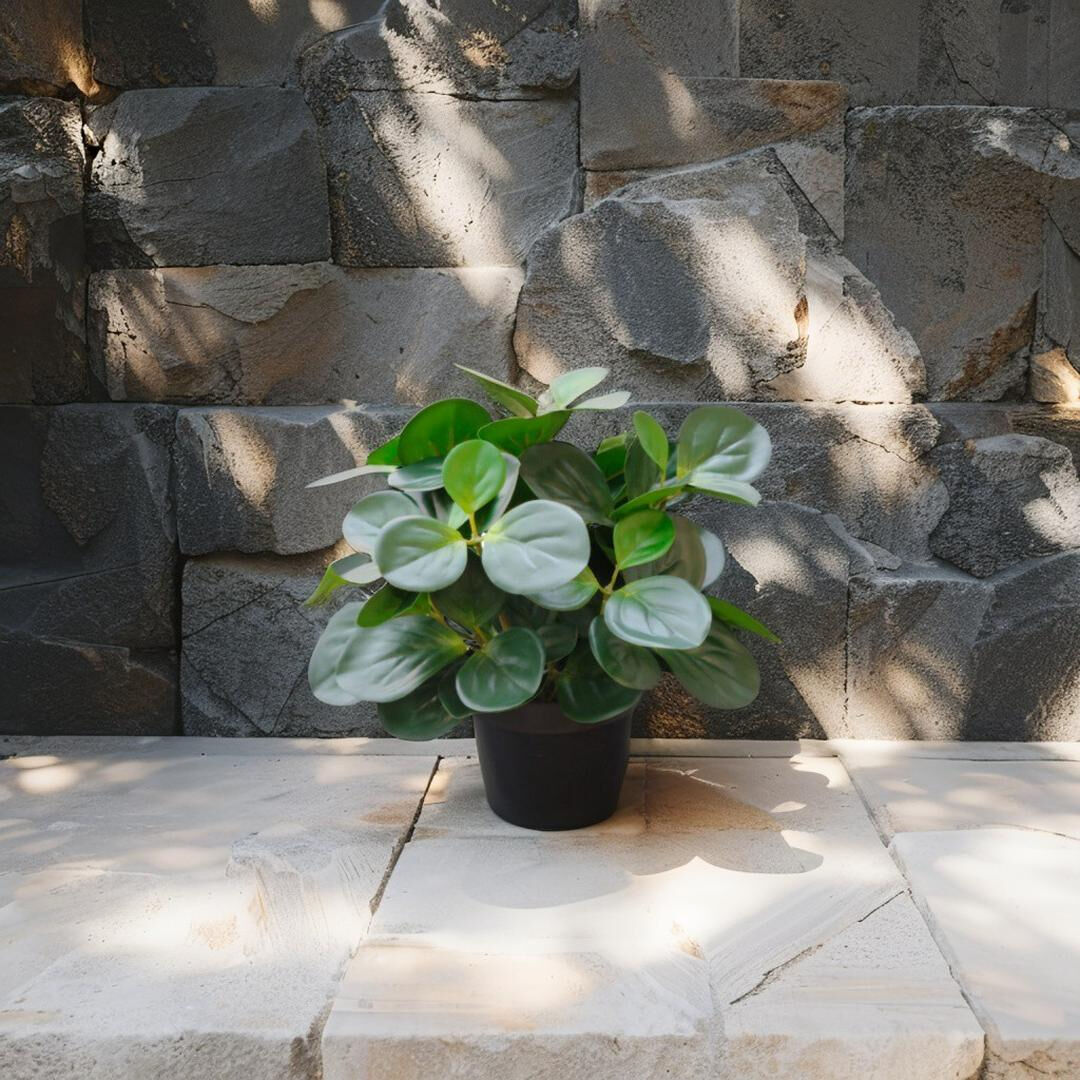 Willow &amp; Silk 33cm Potted Artificial Serenity Peperomia