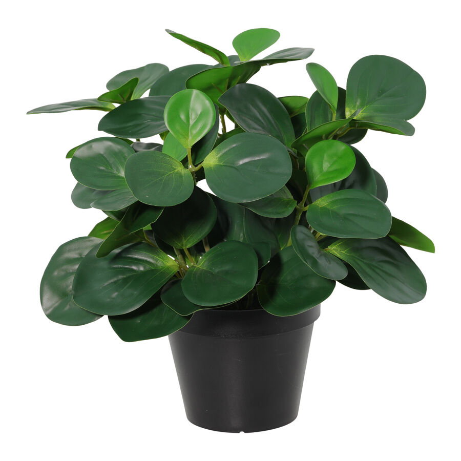 Willow &amp; Silk 33cm Potted Artificial Serenity Peperomia