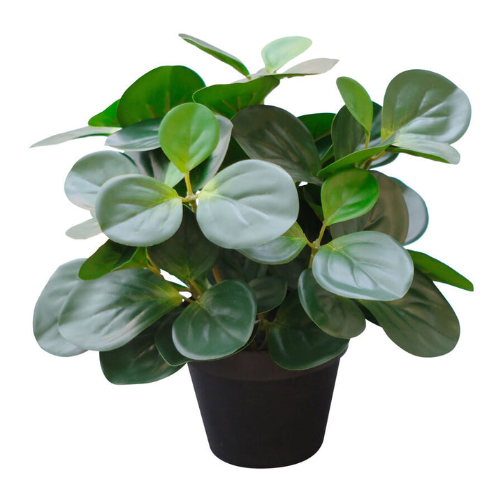 Willow &amp; Silk 33cm Potted Artificial Serenity Peperomia