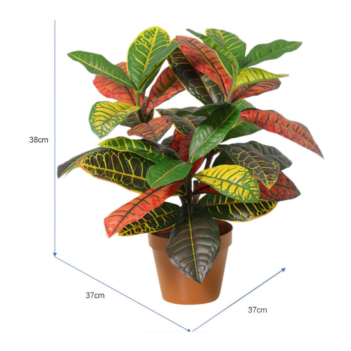 Willow &amp; Silk 38cm Potted Artificial Vibrant Leaf Calathea