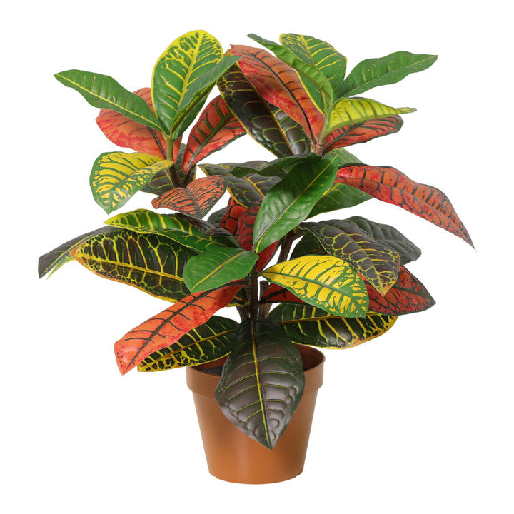 Willow &amp; Silk 38cm Potted Artificial Vibrant Leaf Calathea