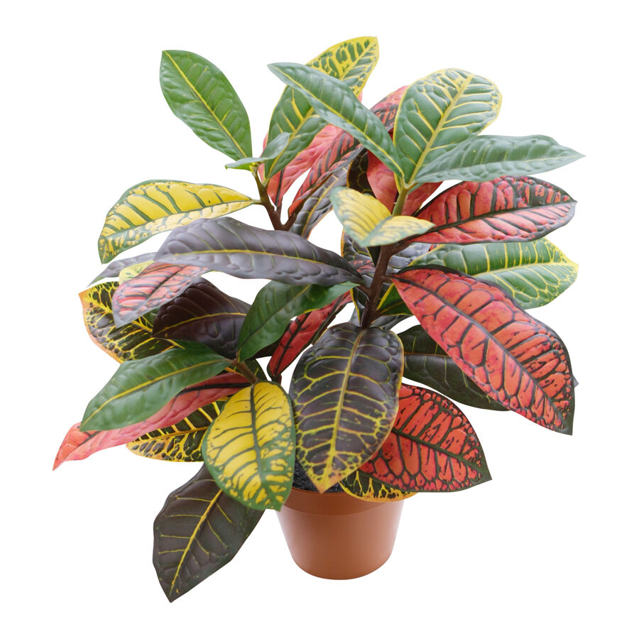 Willow &amp; Silk 38cm Potted Artificial Vibrant Leaf Calathea