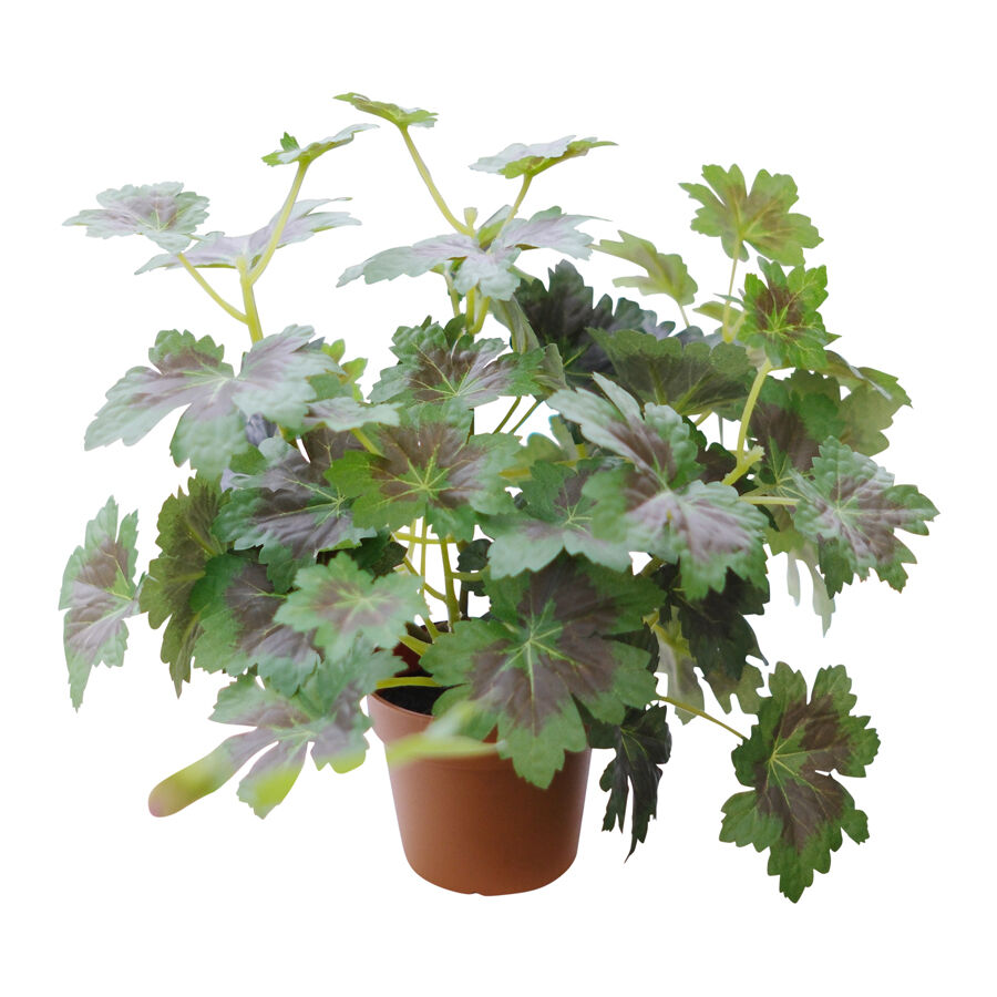 Willow &amp; Silk 28cm Potted Artificial Grape Leaf Plant