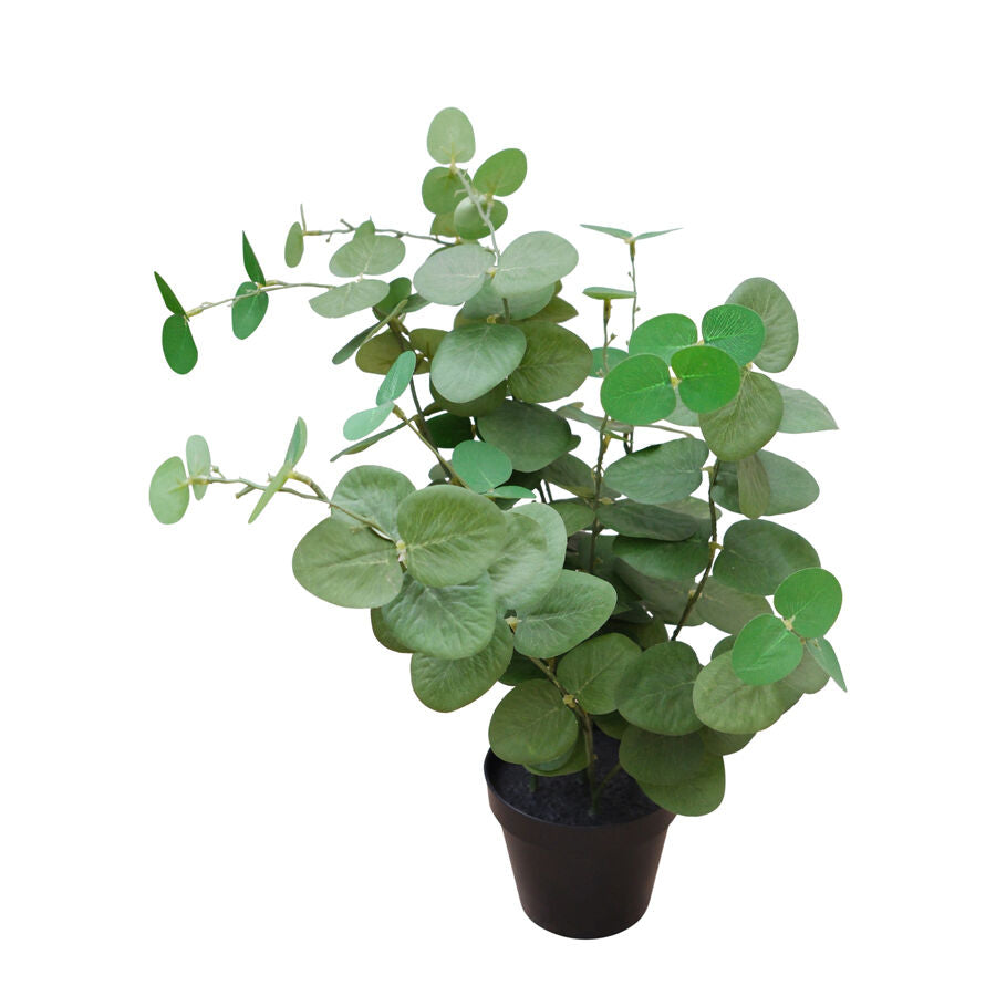 Willow &amp; Silk 48cm Potted Artificial Leafy Serenity Eucalyptus