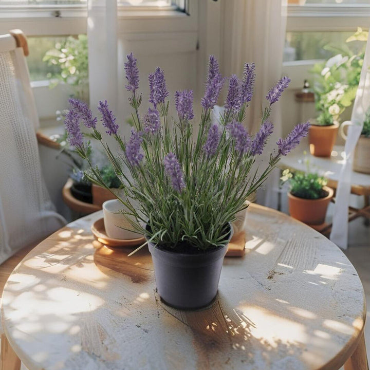 Willow &amp; Silk 40cm Potted Artificial Elegant Lavender Plant