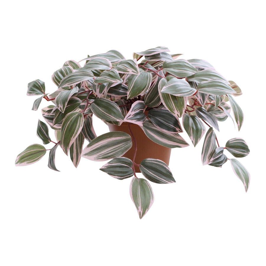 Willow &amp; Silk 25cm Potted Artificial Wandering Dude Plant