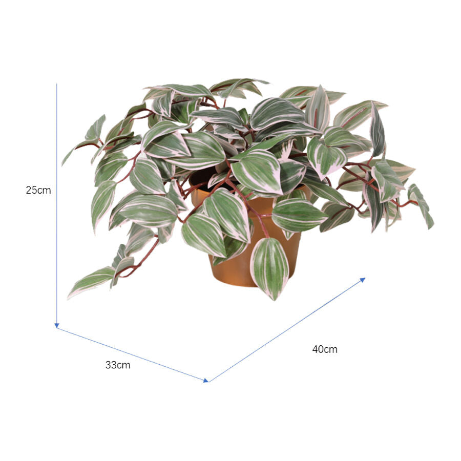 Willow &amp; Silk 25cm Potted Artificial Wandering Dude Plant