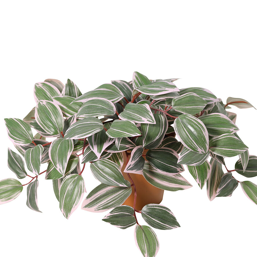 Willow &amp; Silk 25cm Potted Artificial Wandering Dude Plant
