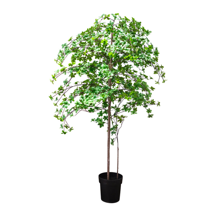 Willow &amp; Silk 193cm Potted Artificial Enkanthus Shrub/Pure Green Haven
