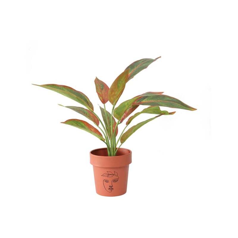 Willow &amp; Silk Line Face Art Pots 13cm Metal Set of 2 Terracotta Planters