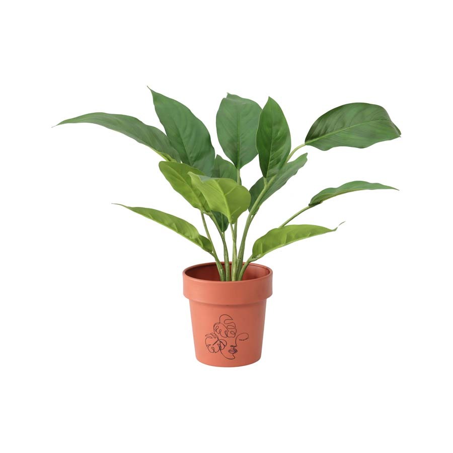 Willow &amp; Silk Line Face Art Pots 13cm Metal Set of 2 Terracotta Planters