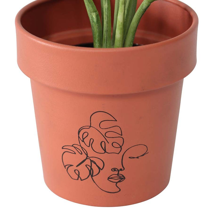 Willow &amp; Silk Line Face Art Pots 13cm Metal Set of 2 Terracotta Planters