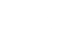 Willow and Silk